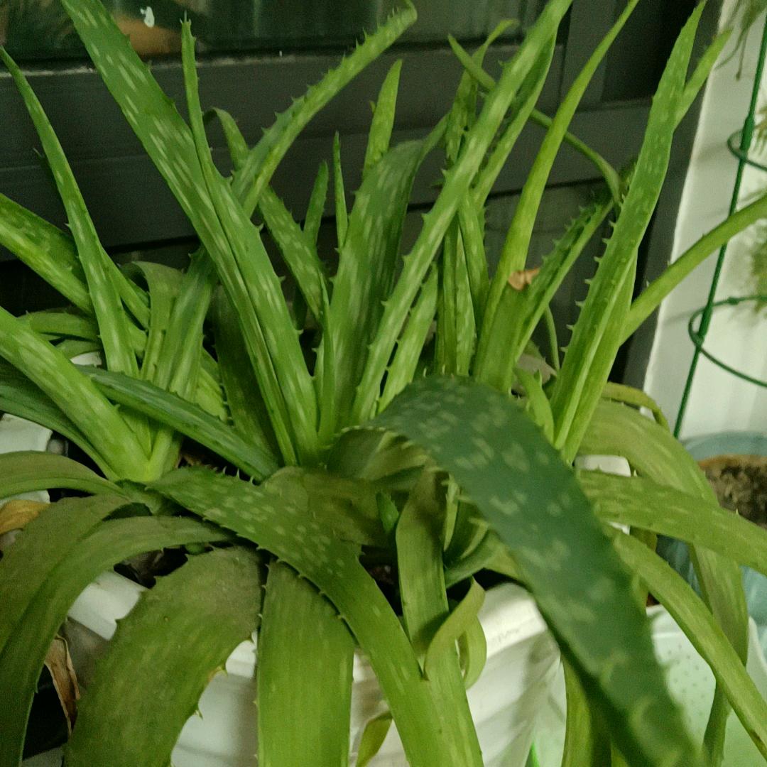 享受幸福大家园