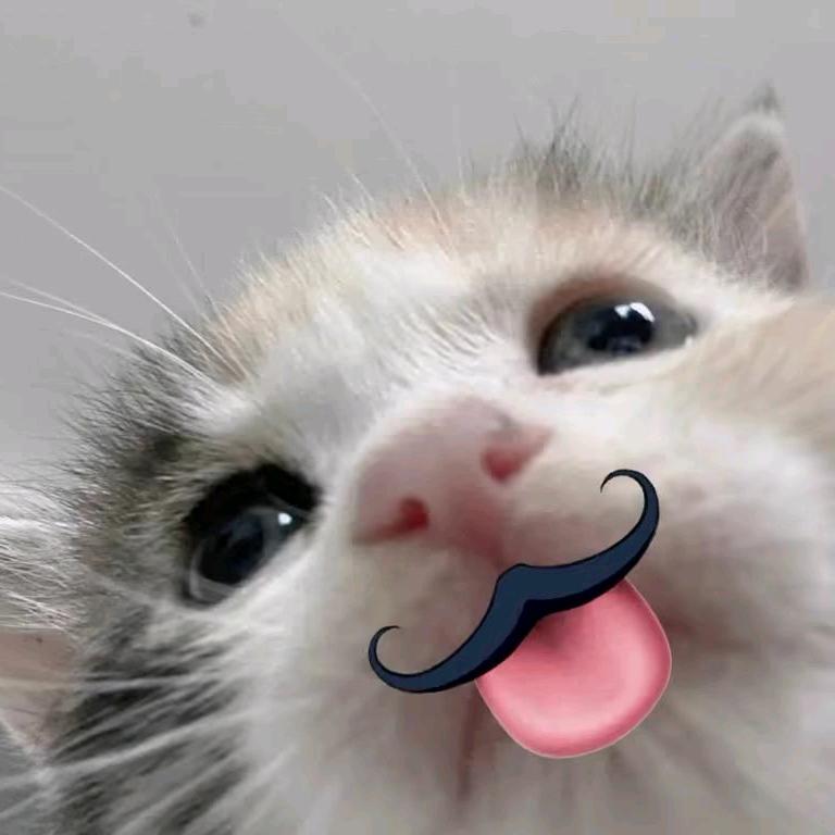 岁谎