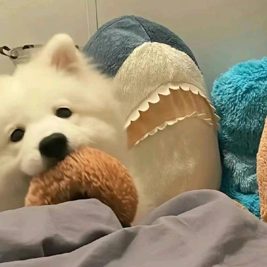 ^L