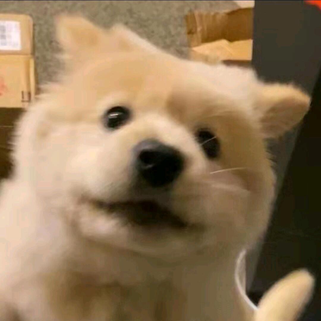 安澜