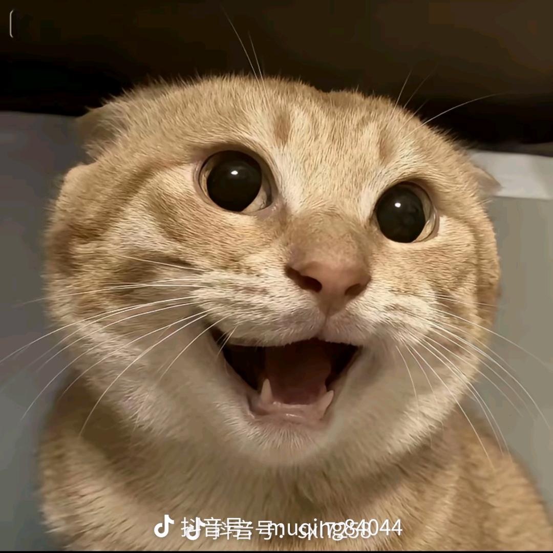 转角遇到好盆友