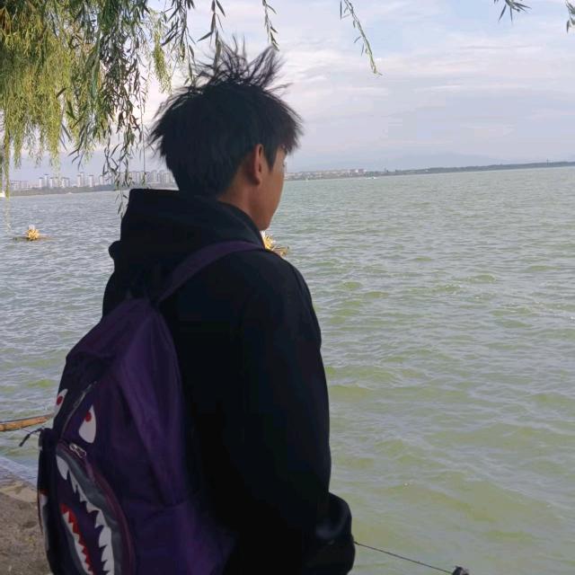 枫