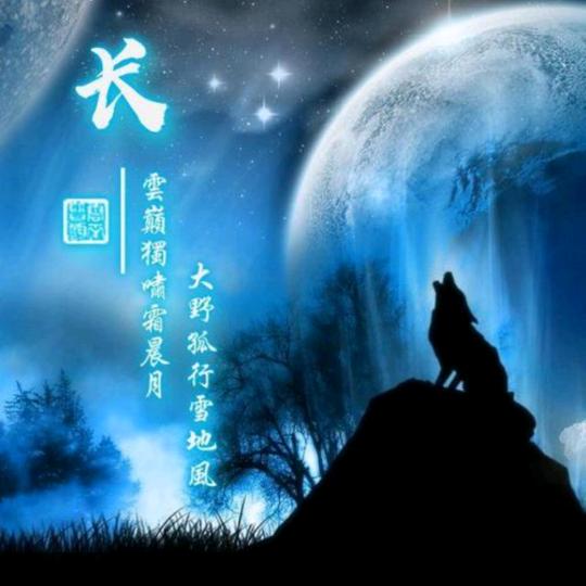天狼🐺