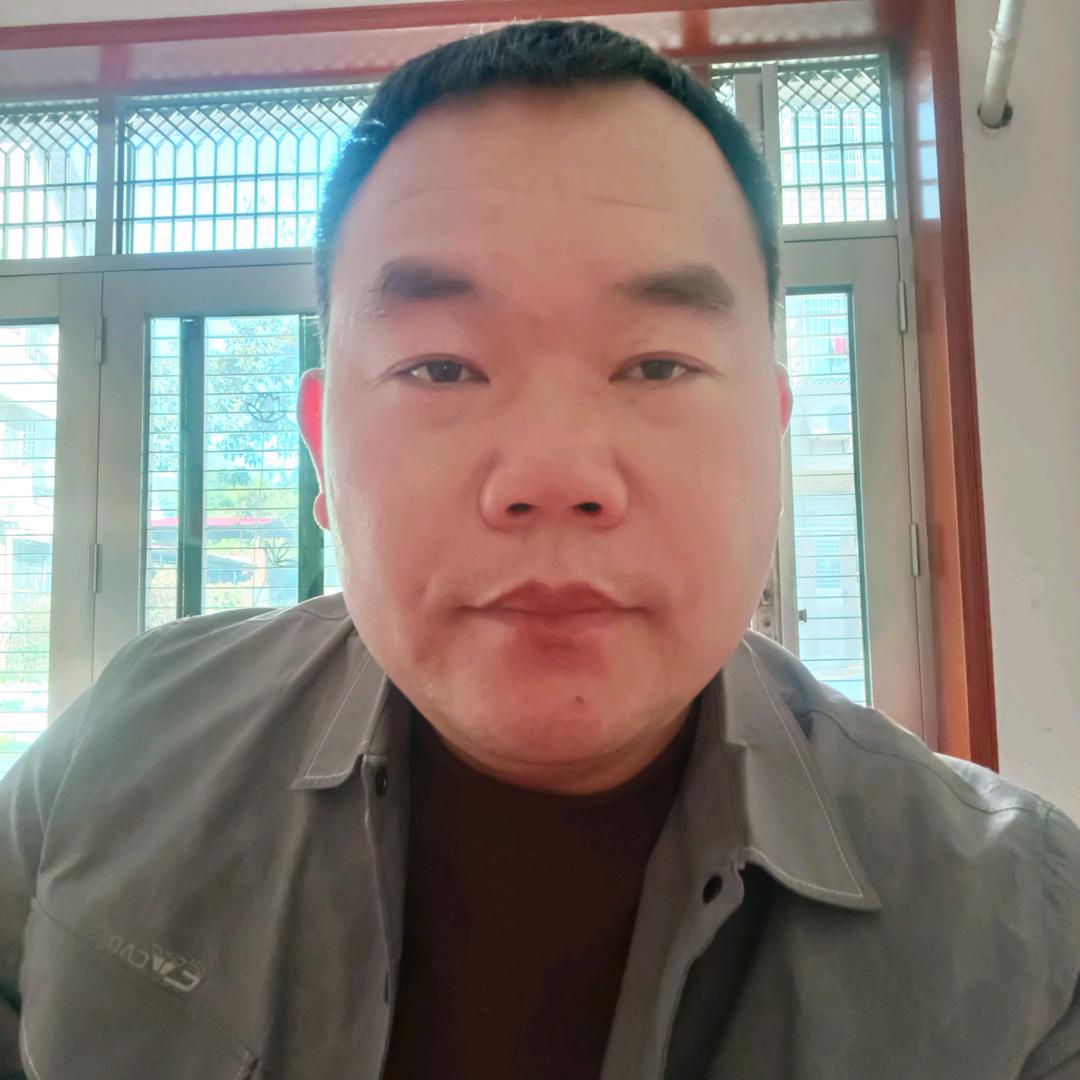鸿雁喜飞扬