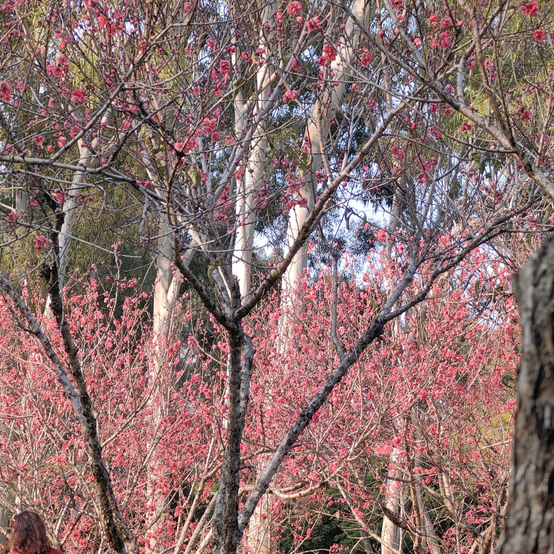 霖花商贸