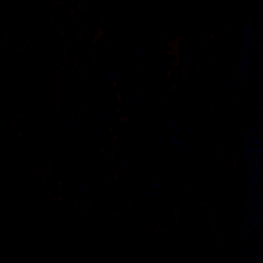 黄毛