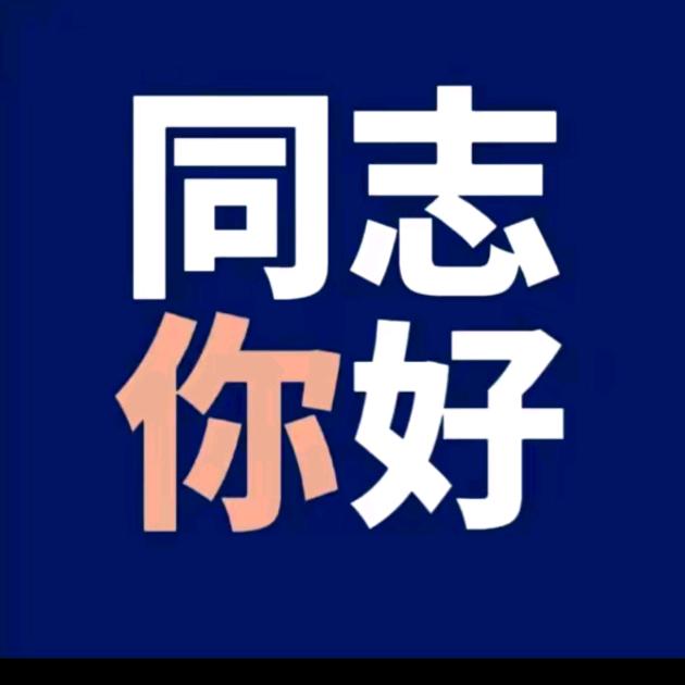 全名达文西
