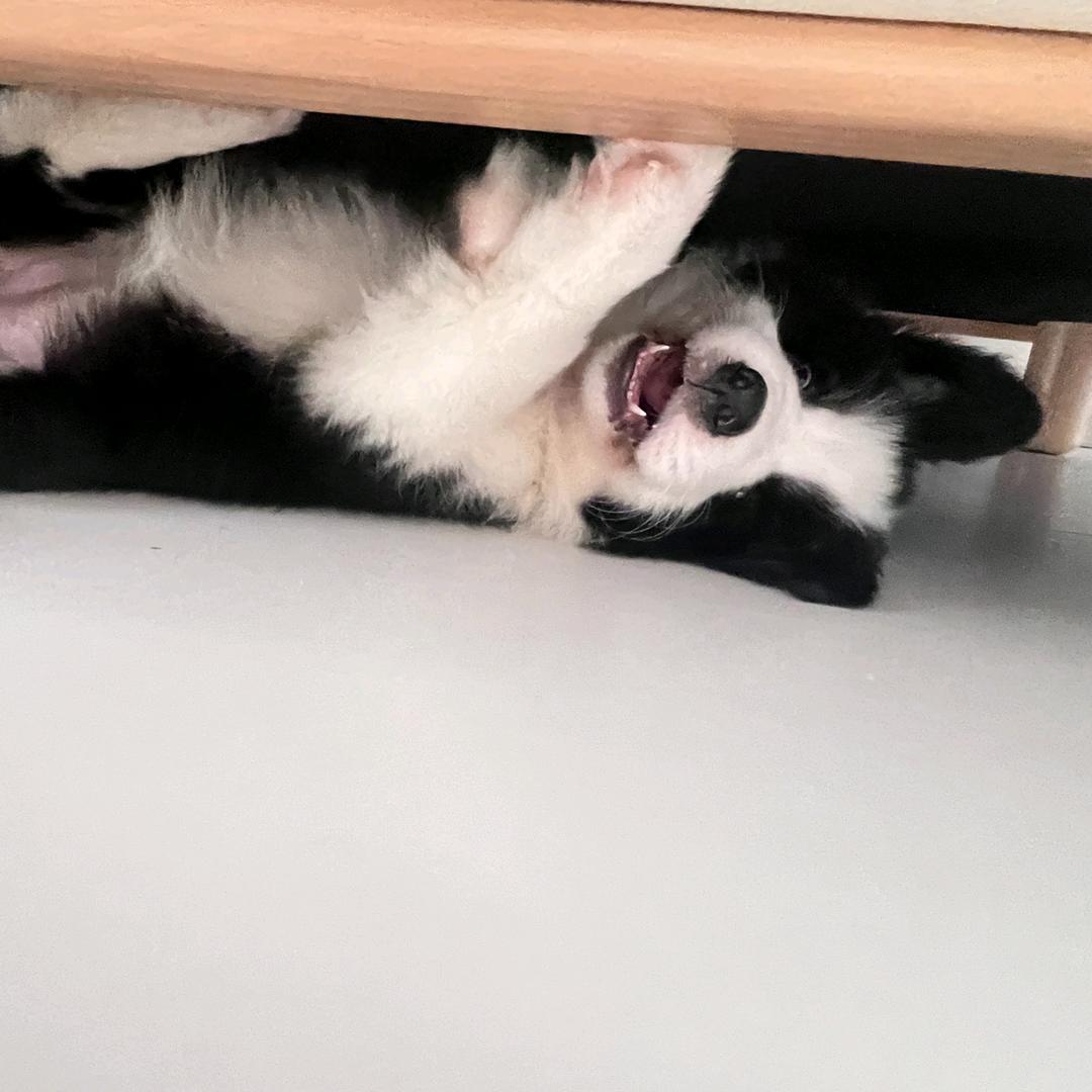 璀璨不会玩