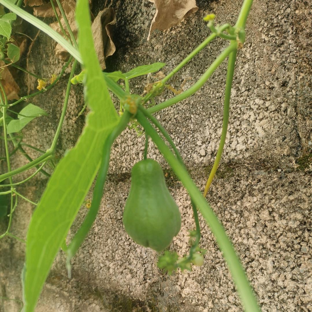 花花世界迷人眼