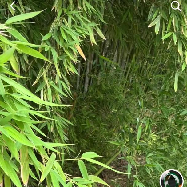 玉石精选阁