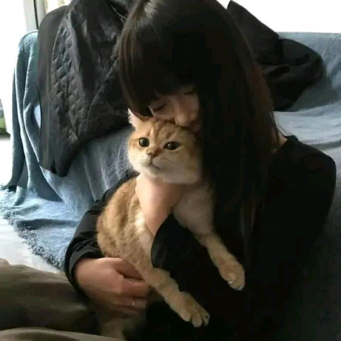 井川