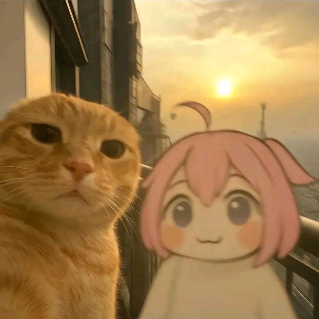 郁金香