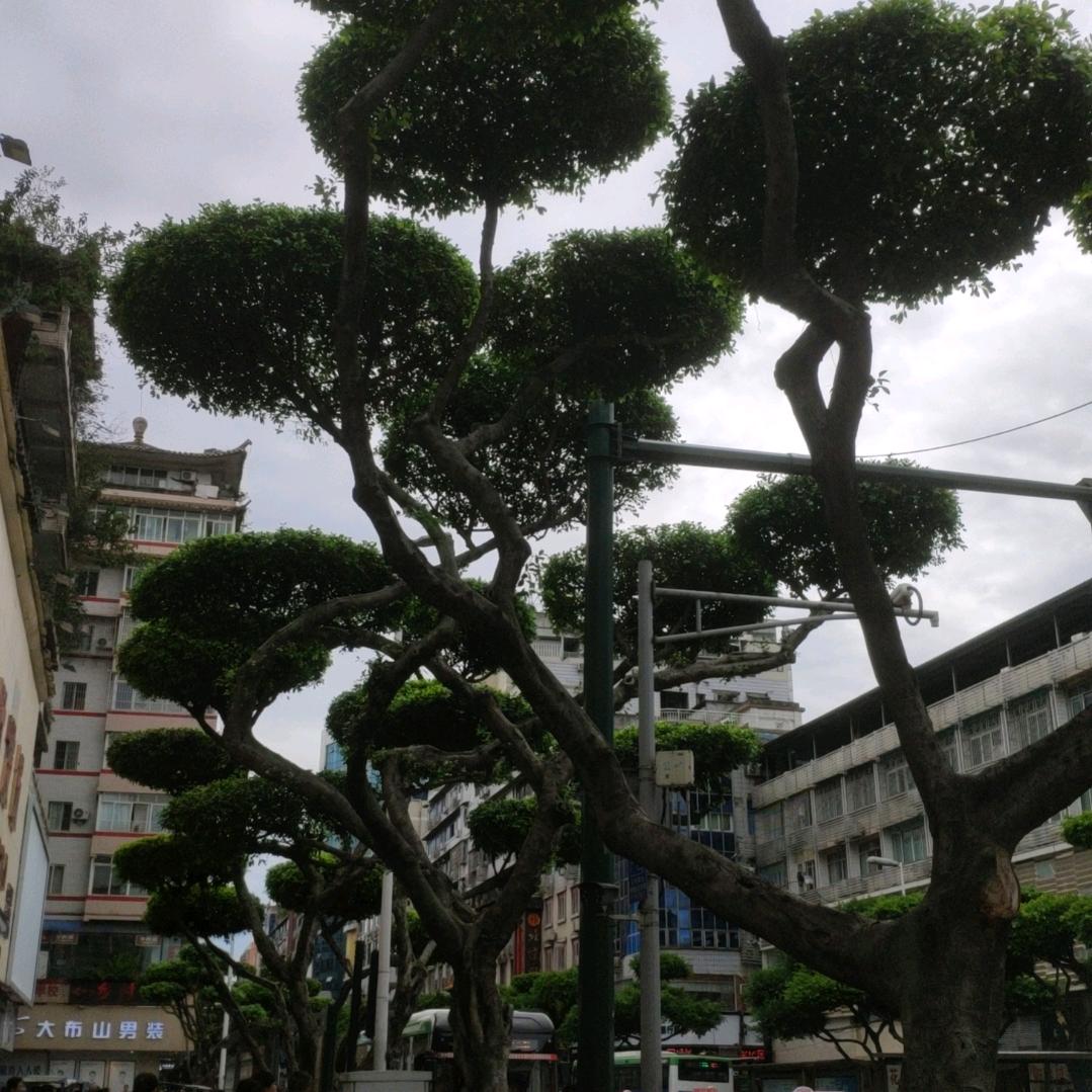 4月头像