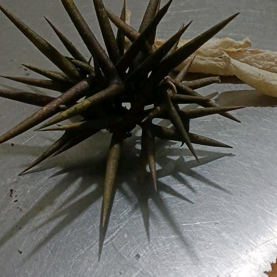 一生有你