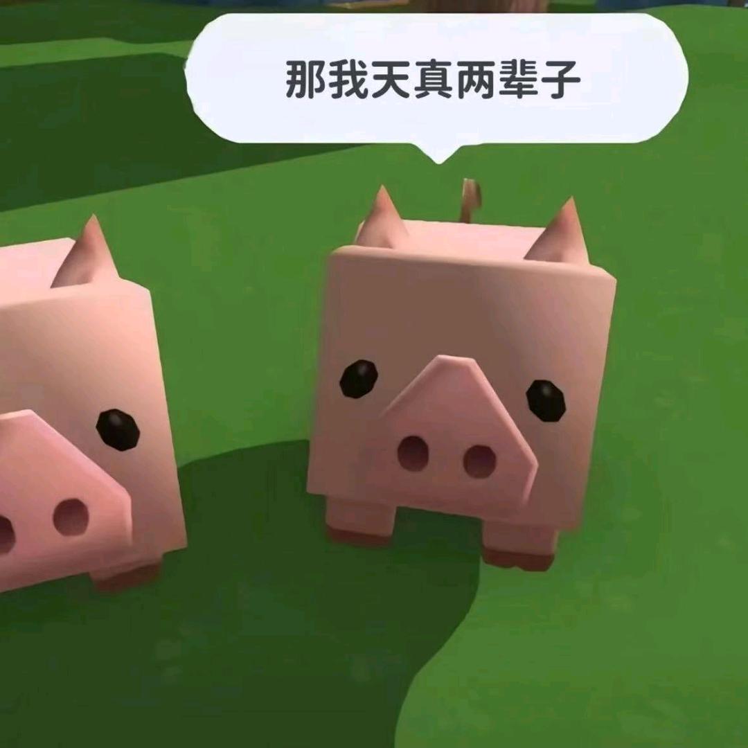 土豆豆