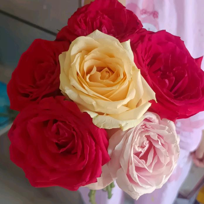 @💗᭄余生ᝰᩚ随心ꦿ໌ᮨ💕: 💗᭄