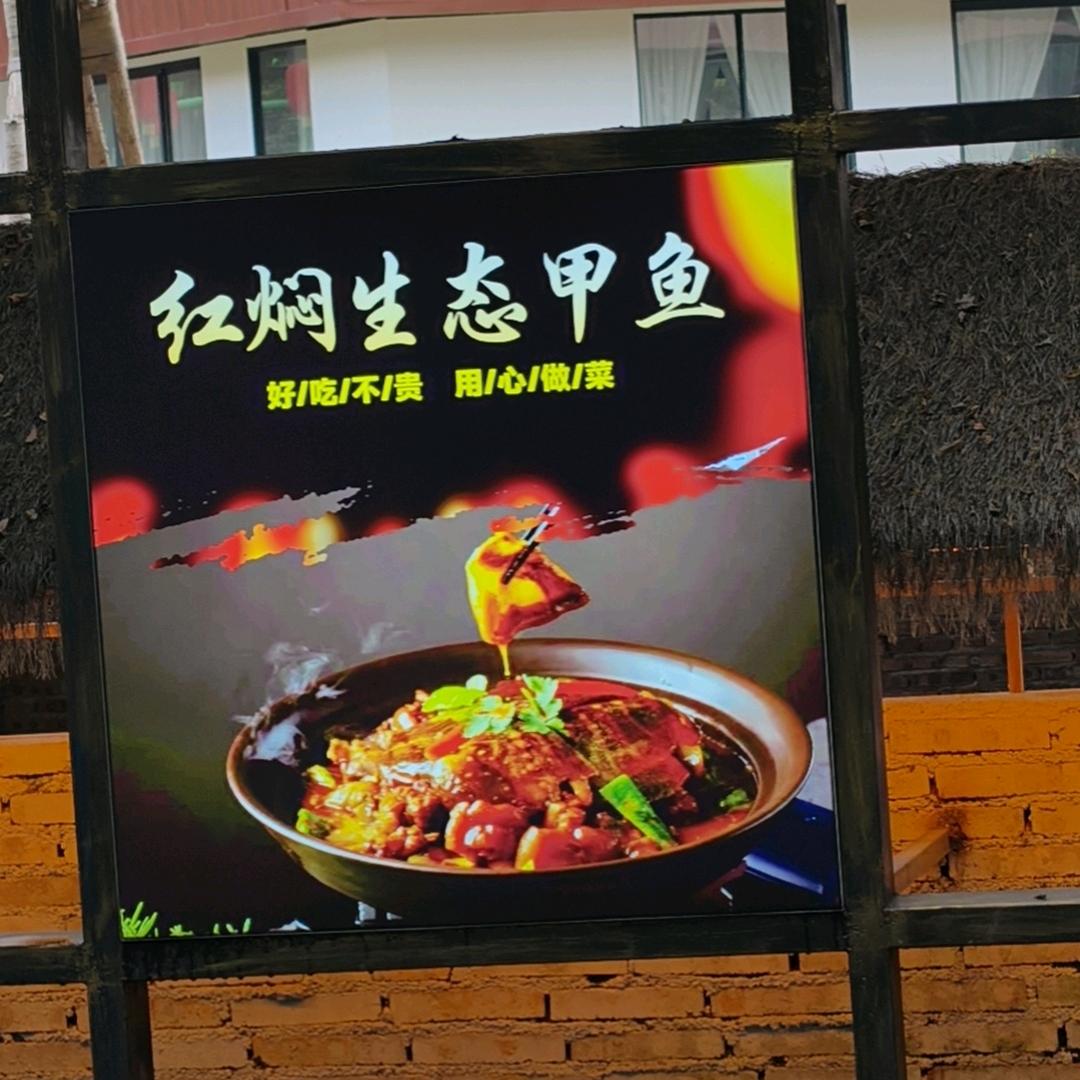 真的傻狗