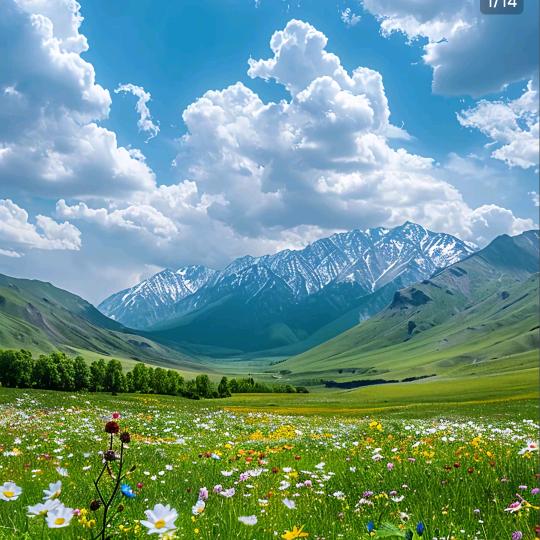 漯河市舞阳县妤卓珊百货店（个体工商户）