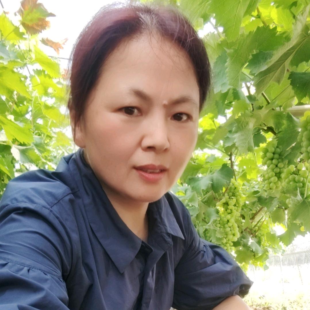 元竹蒋平兰（农药，种子）
