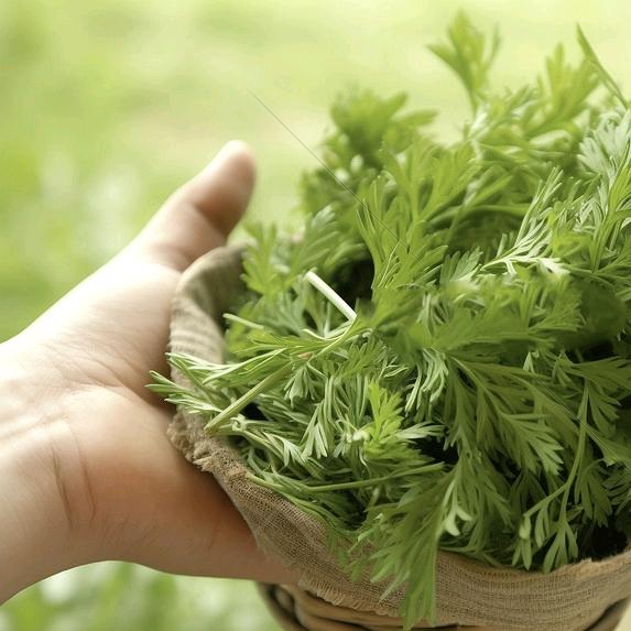 星汉灿烂网络科技有限公司胜钦