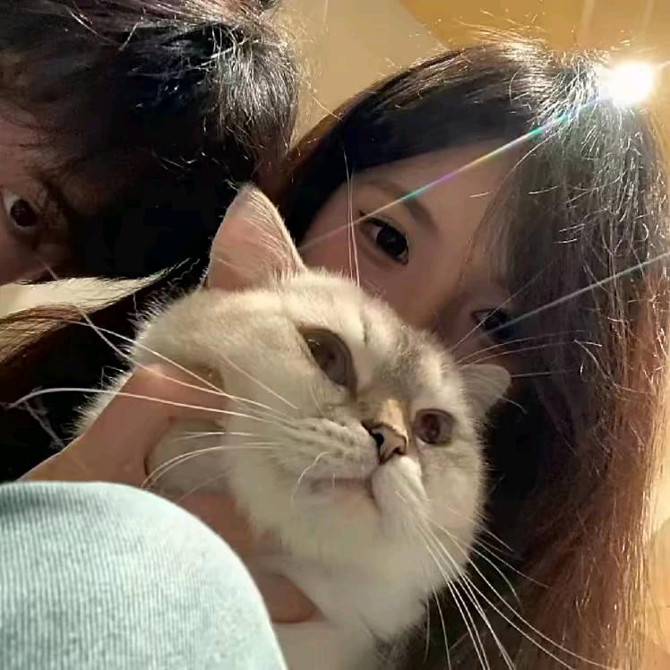 归巷