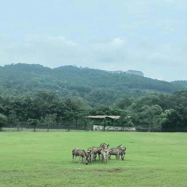 💰余生只搞💰