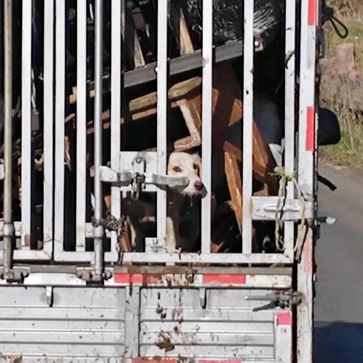 不那么快乐的B🤤