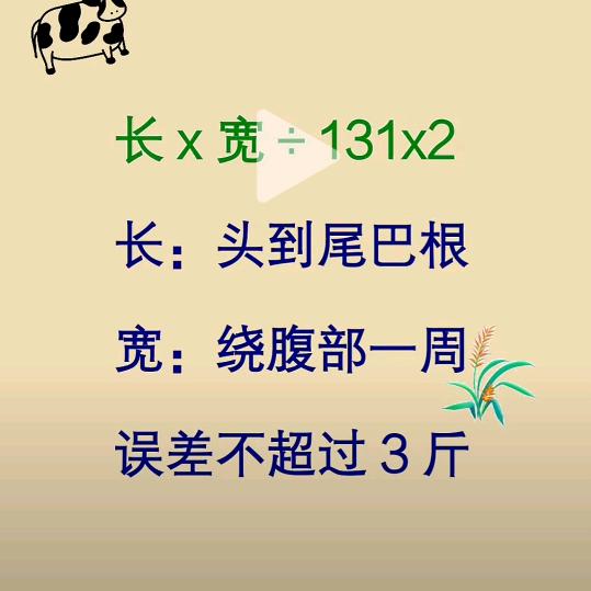 五月奇迹