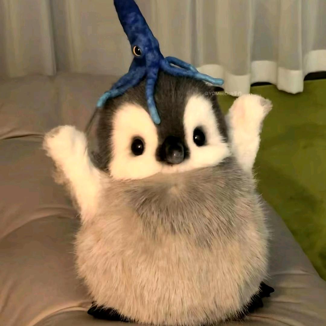 小麦电脑店东莞市启铭奥盛商贸有限公司直播号