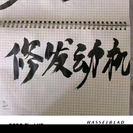 念欢