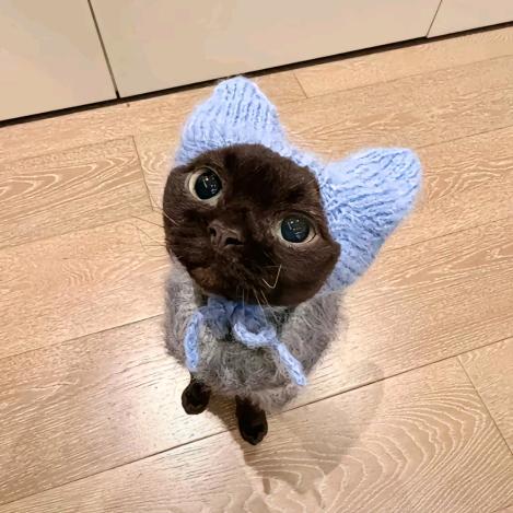 白雪公主开玩笑