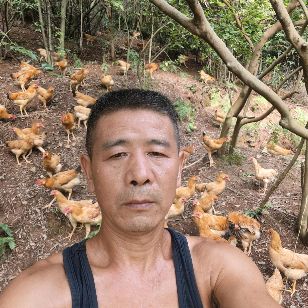 信州区小郑哥（生态养殖）