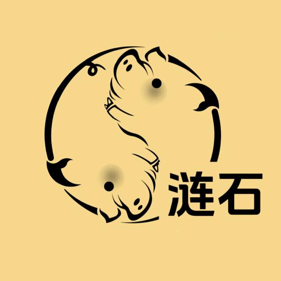 涟石黑猪肉农副产品