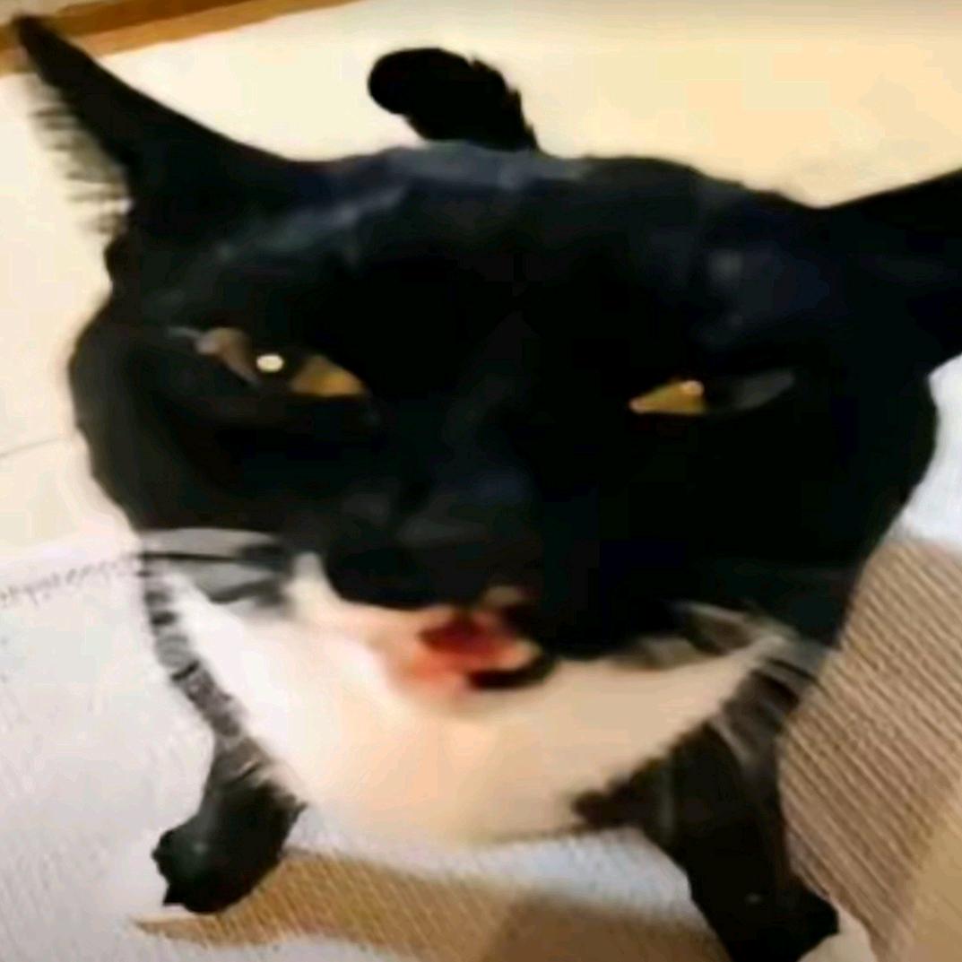 㼿僮勭