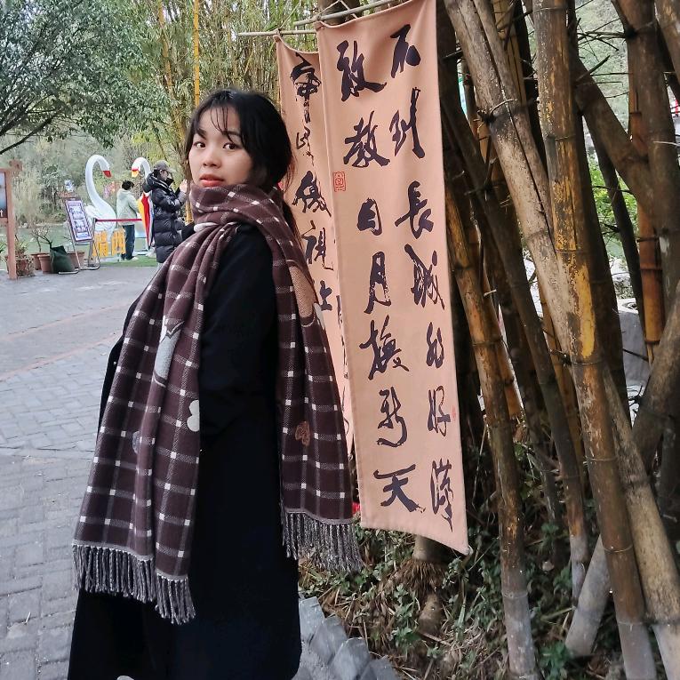 岁聿云暮