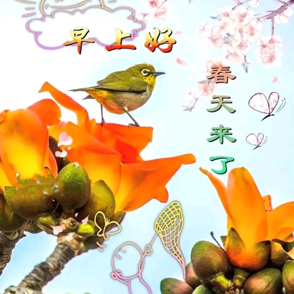 贤❤️鱼鱼⁴º⁴