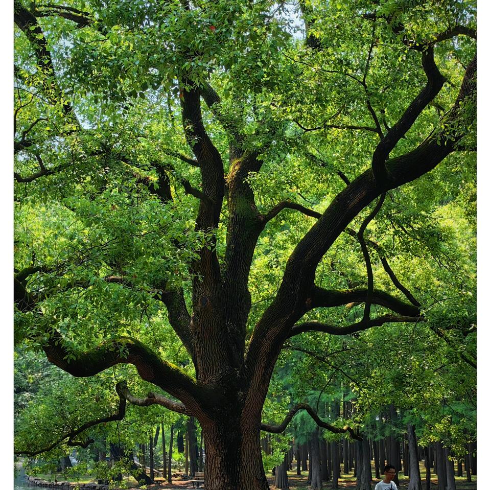 静心优选