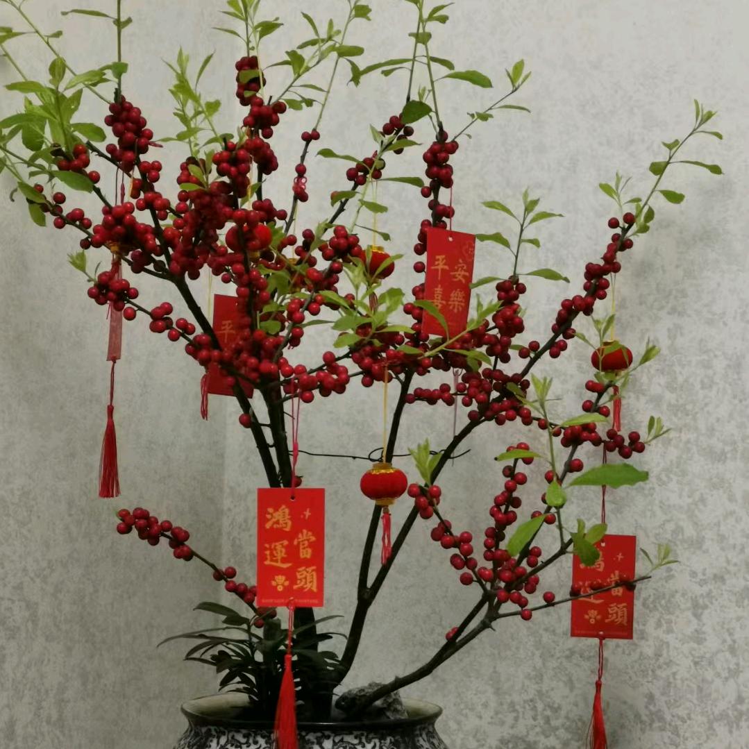 勤奋的小蜗