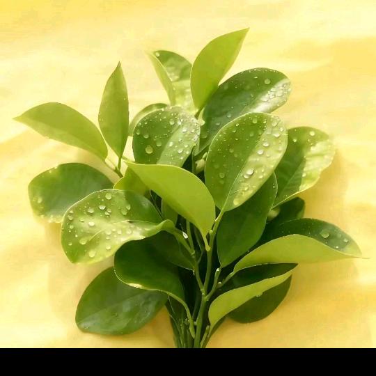 🌧🌧🌧🌧🌧🌧