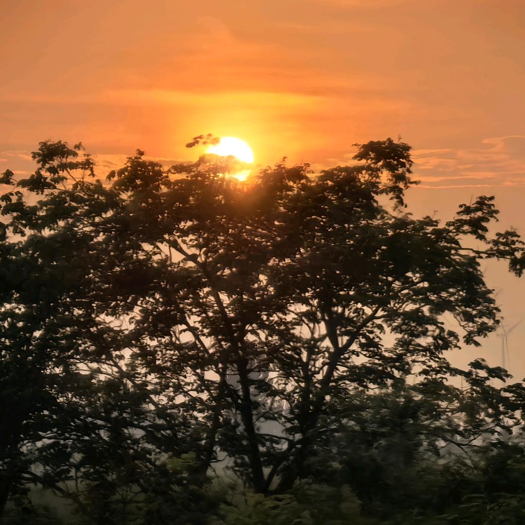 ♡🍈晚梨不吃梨