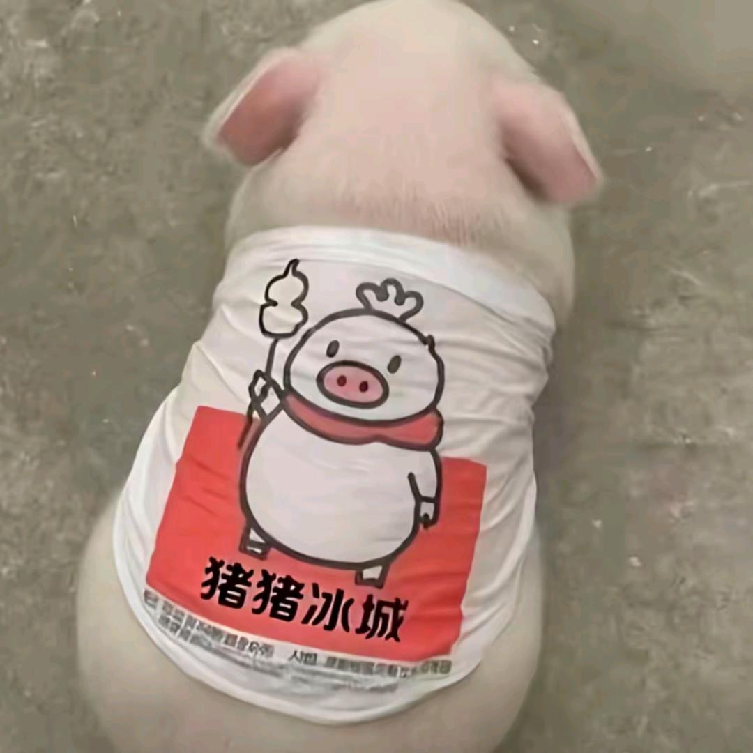早八起不来