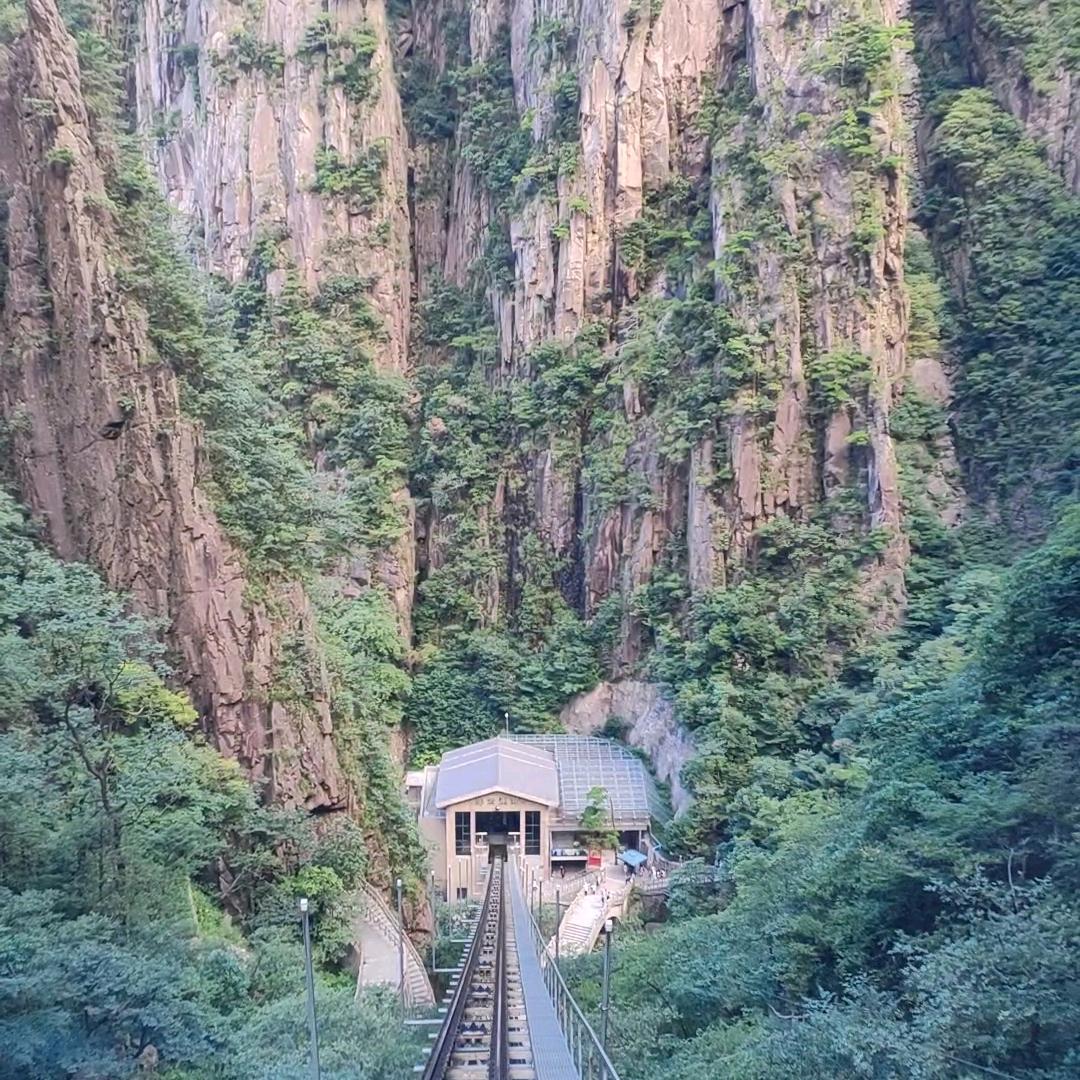 颗粒归仓