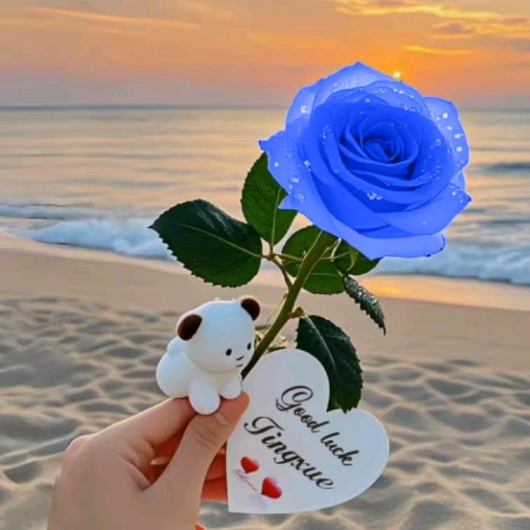 @এ余生᭄💞ღ不将就᭄ꦿএ