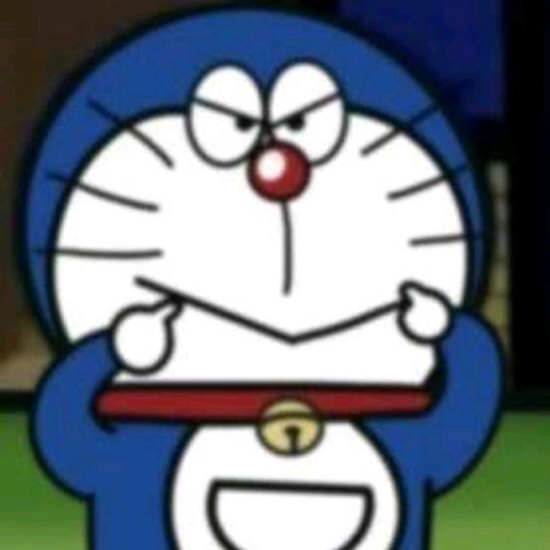 于鱼鱼