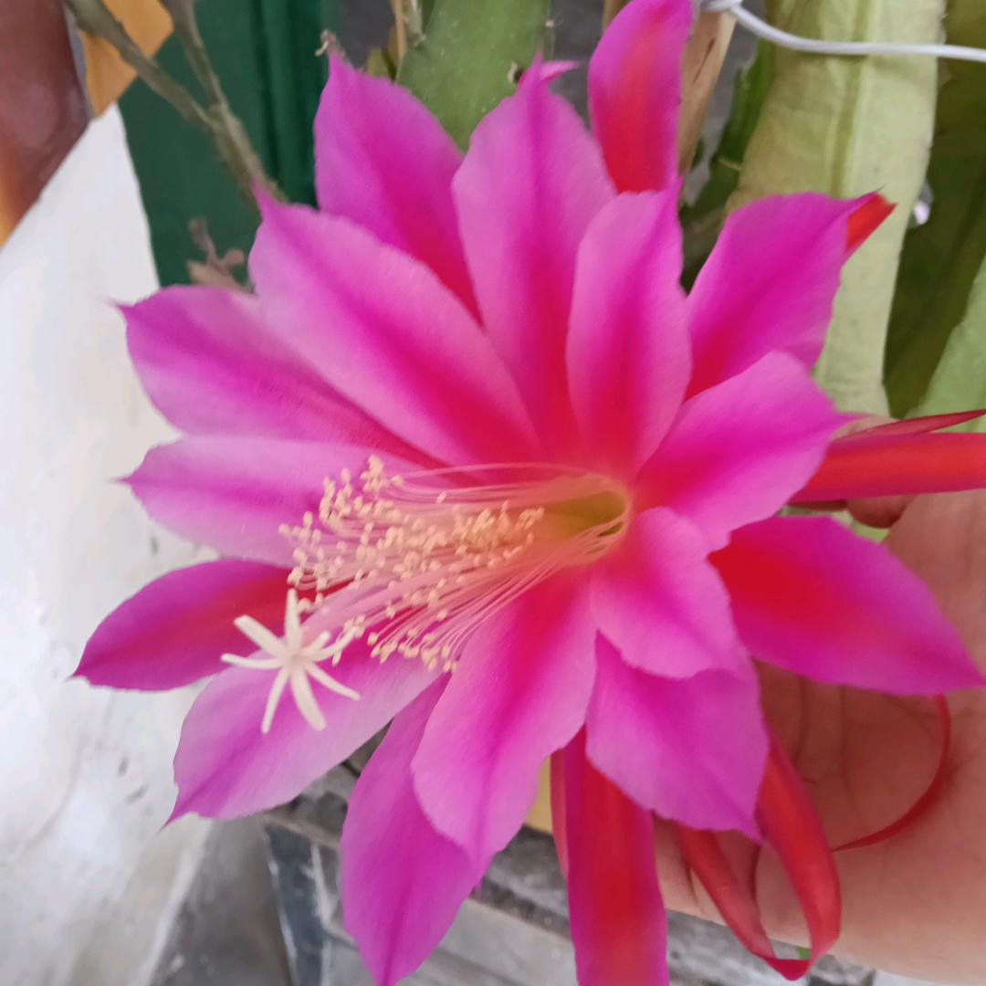 顺其自然