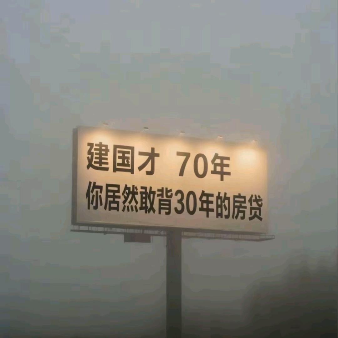 大雁往北飞