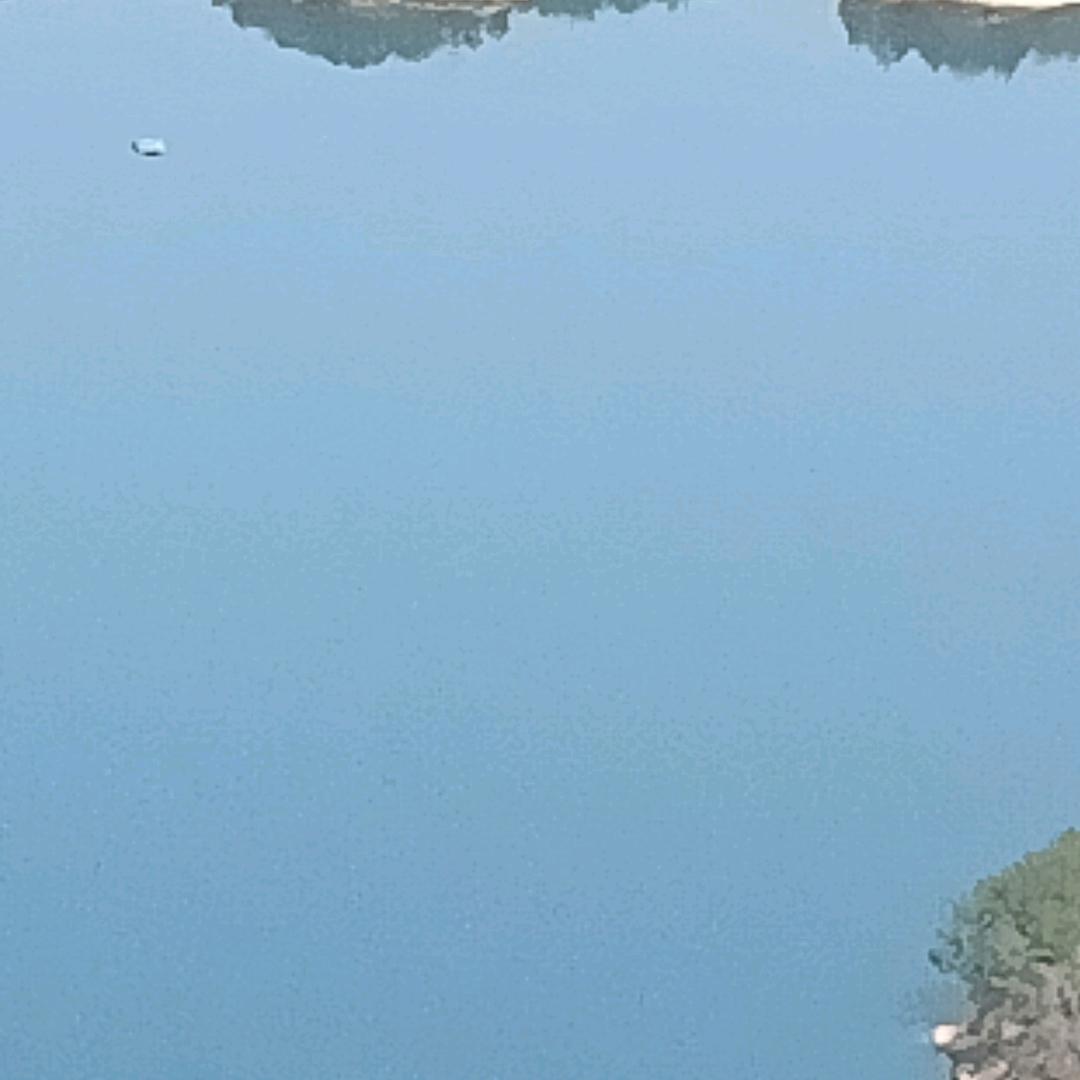 陈哥