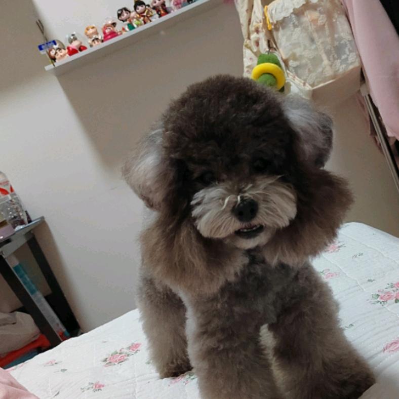 尾巴