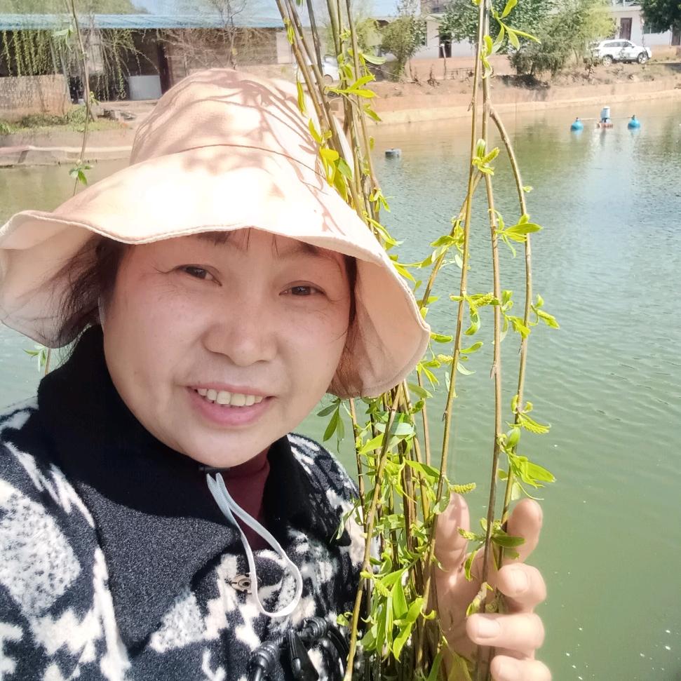 苗王腰颈椎特效药酒