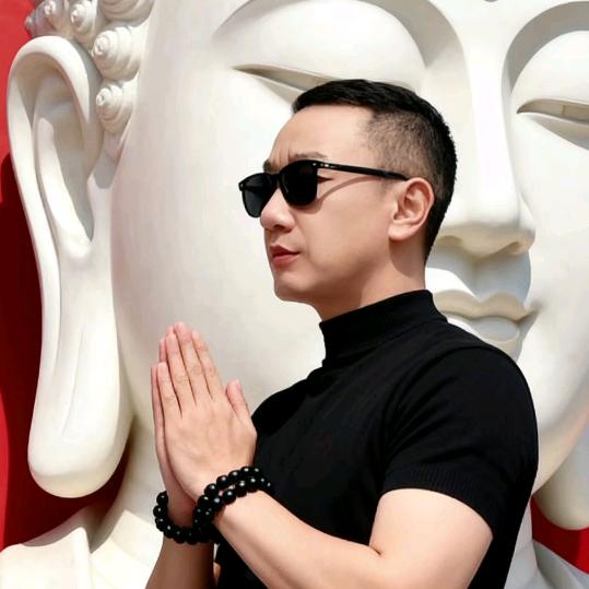 迎风而上（刘）